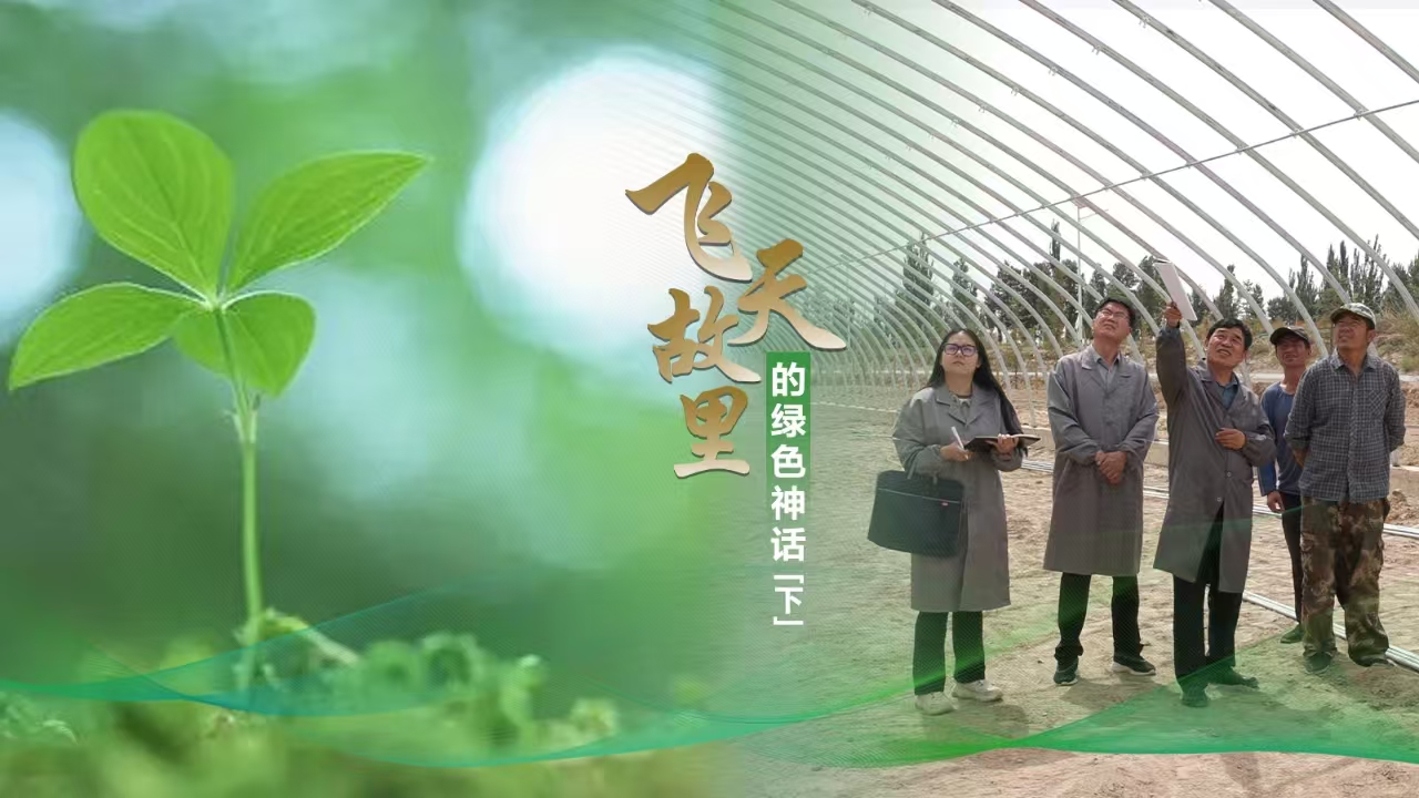 【微紀(jì)錄】田野之光（6）｜飛天故里的綠色神話(下)